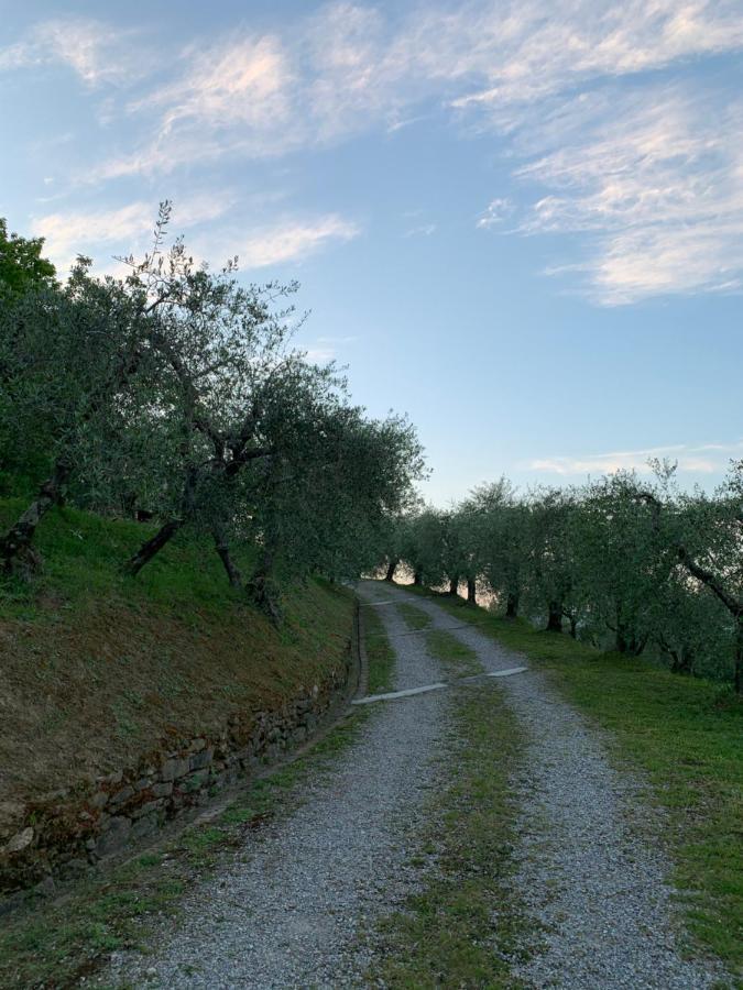 Marziani Rustic Tuscan House Капаннори Экстерьер фото